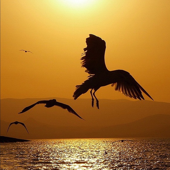 Meet the posher! - Picture 3 of 14